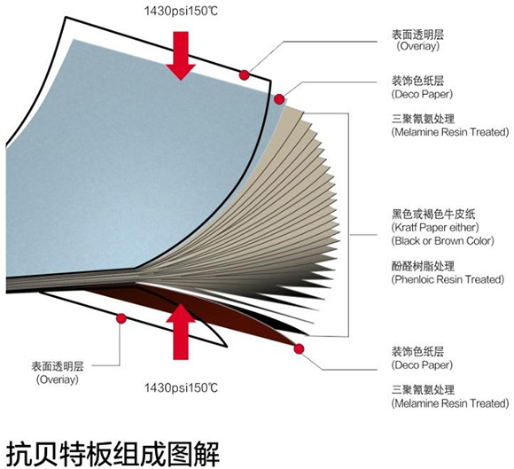 摩登7抗倍特板组成图解